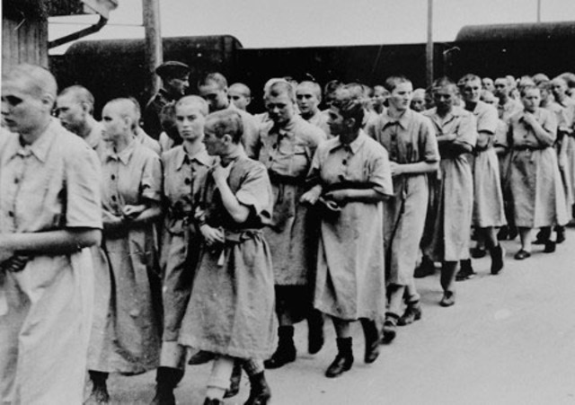 Hitler takes over Hungary