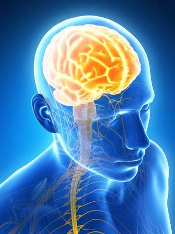 16 AÑOS ... ADULTEZ