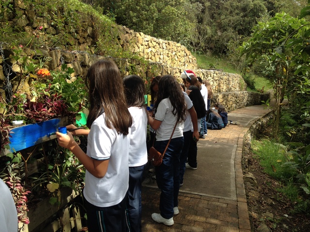 LA PEDAGOGÍA CONTEMPORANEA