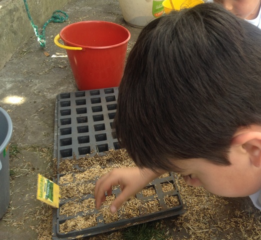 EL APRENDIZAJE SIGNIFICATIVO Y LA CONSTRUCCIÓN DEL CONOCIMIENTO