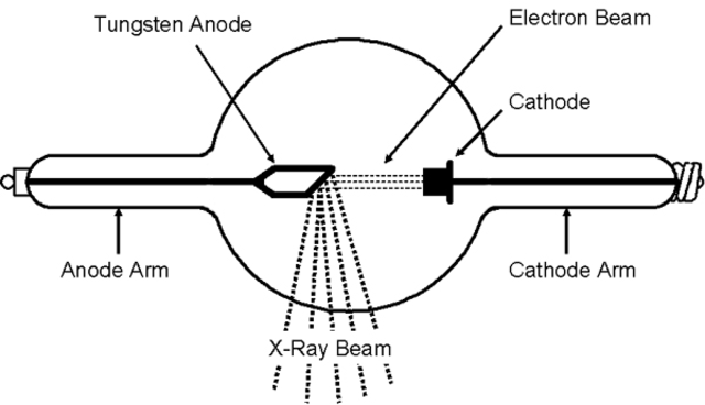 More X-rays were found.