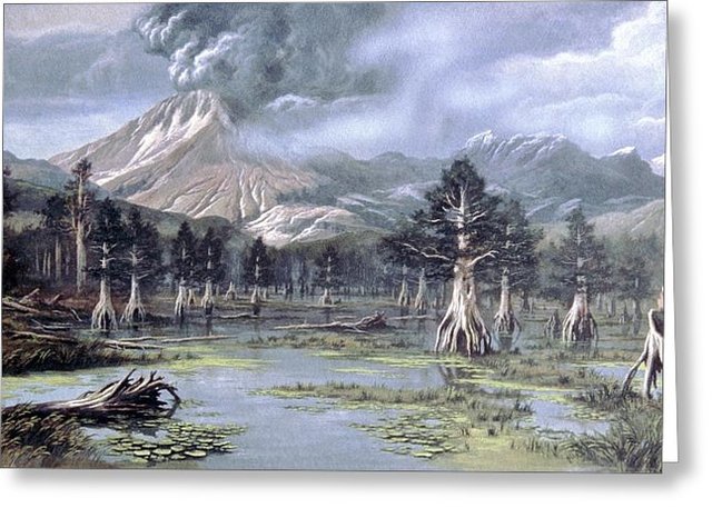 Tertiary Period 66 MYA- 3 MYA