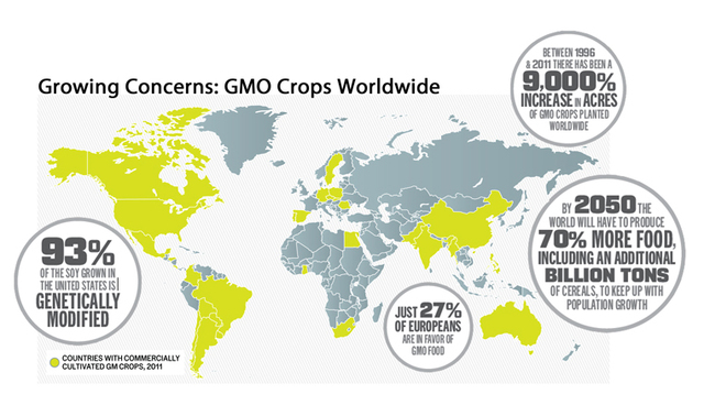 GMO Food Crops Dominate