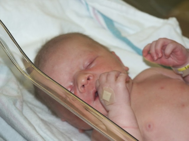 Lars Nació en Fredericksburg, Virginia