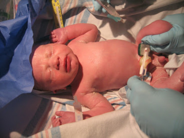 Koen Nació en Oahu, Hawaii