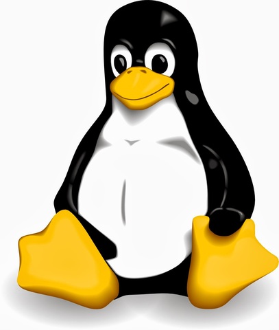 LINUX