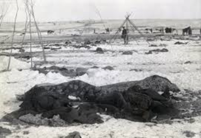 The Battle of Wounded Knee