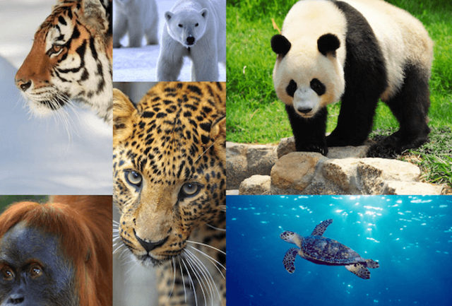 Endangered Species Preservation Act