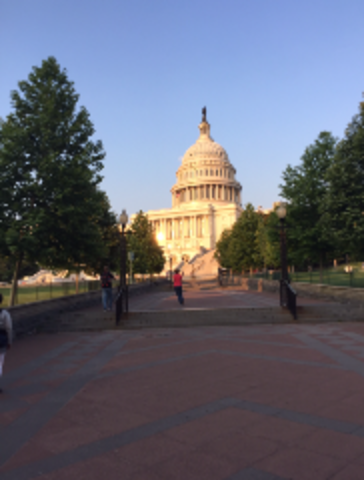 Anduve en Washington y tomé fotos del paisaje.