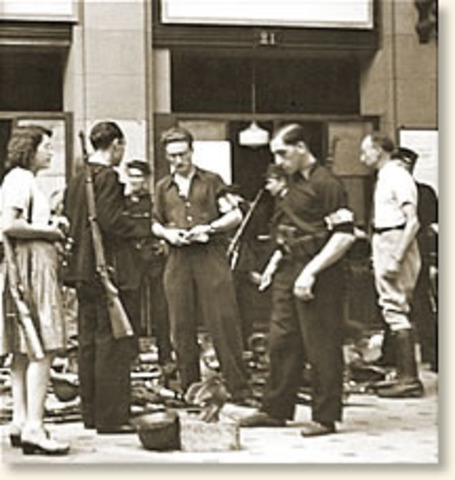 Allies liberate Paris