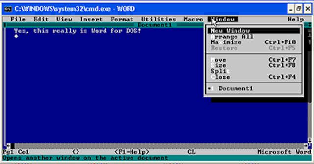 Aparece el SO MS de Windows.