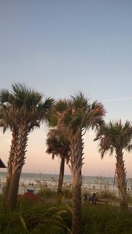 Visitamos a la playa por primera