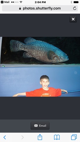 Fui al acuario de Georgia