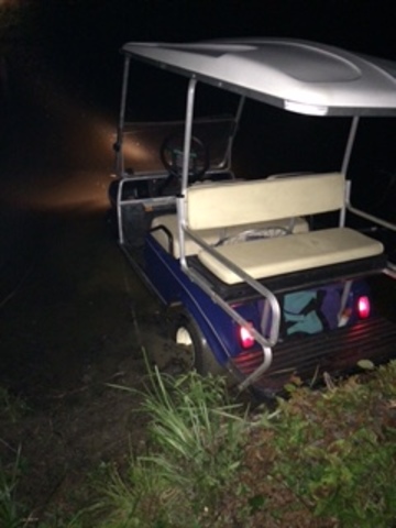 Manejé carro de golf en el lago