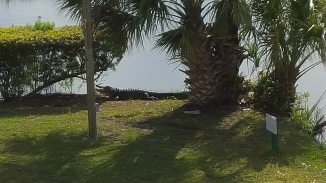 Mi familia y yo fuimos a Hilton Head