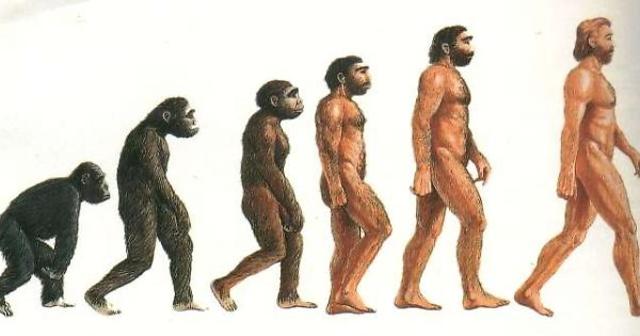 COMPARSA DEGLI OMINIDI