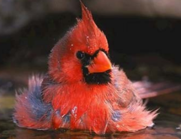 when my mom told me about me getting a sister