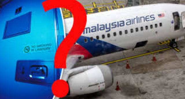 Malaysia Airlines Flight 370