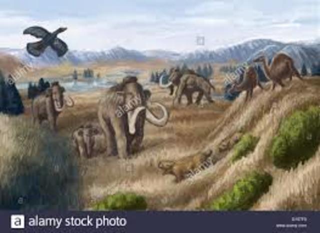 Tertiary Period 66 - 2.6 MYA