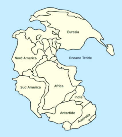 La Pangea si divide in due, dando origine alla Gondwana e Laurasia