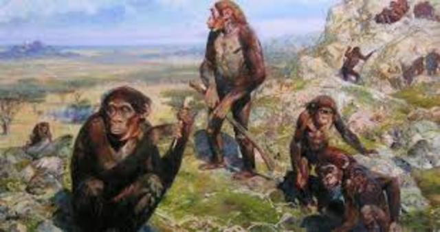 NASCITA DEGLI OMINIDI