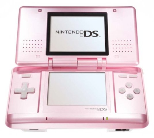 The Nintendo DS