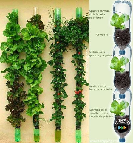 2.	Procedimiento: ¿Cómo se desarrollara la actividad?