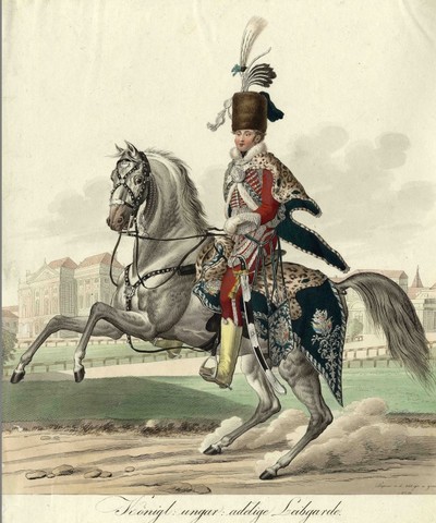 magyar nemesi testőrség felállítása