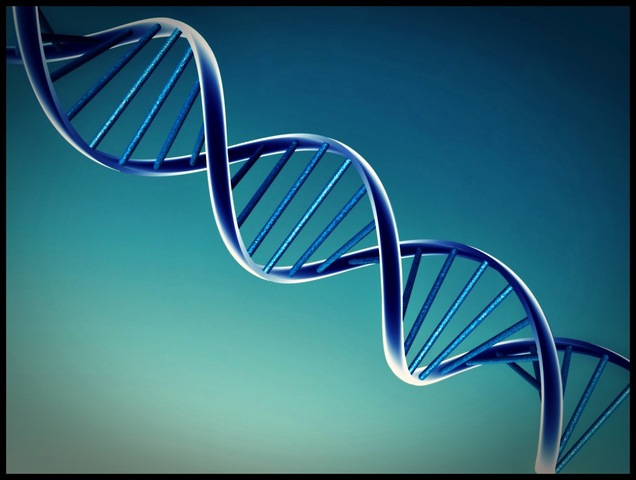Descubrimiento de la estructura del ADN