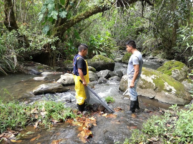 Segunda jornada de campo : Prediagnóstico
