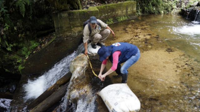 Tercera jornada de campo: Diagnóstico