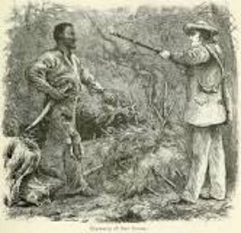 Nat Turner'a Rebellion