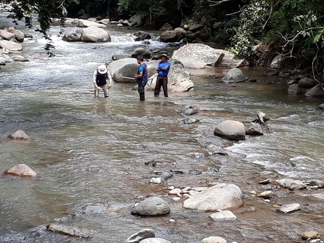 Tercera jornada de campo: Diagnóstico