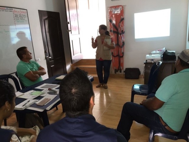 Jornada de devolución o socialización de diagnóstico