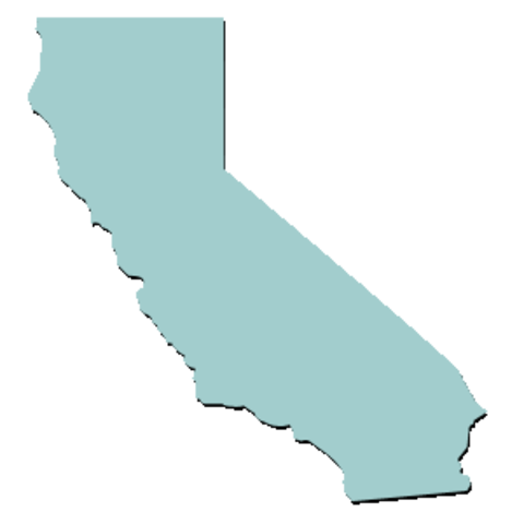 My Great Grandfathers parents went to California