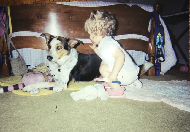 Obtuve mi primer perro, Katy.