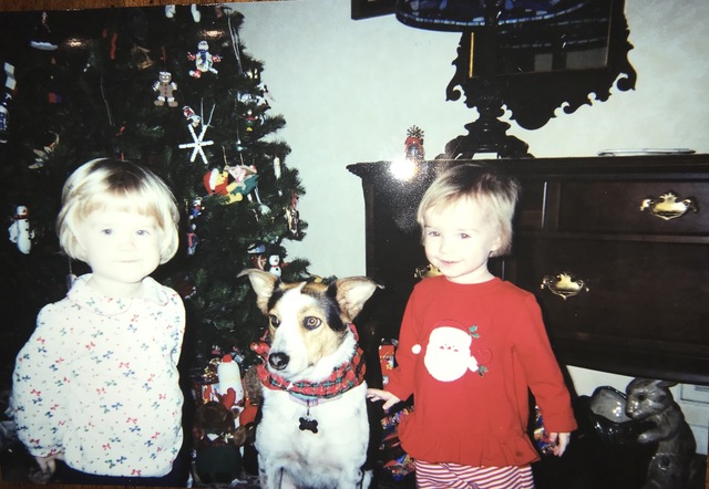 Puse decoraciones en mi primer árbol de Navidad.