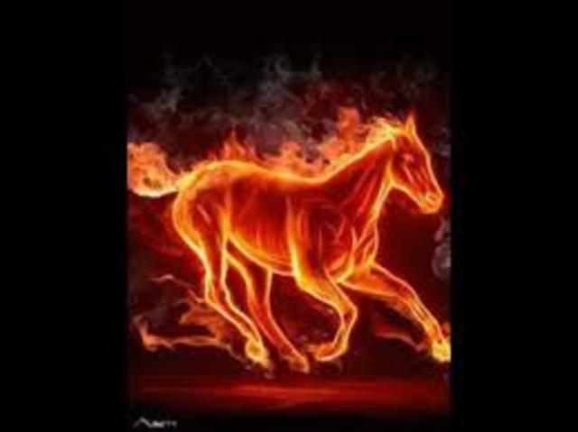 Establecimiento fundado en 1990