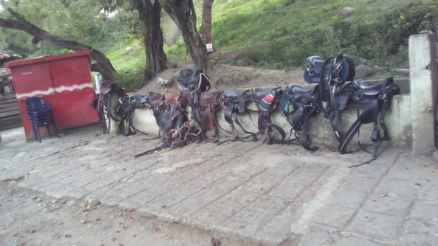 Se pone en funcionamiento circuito cerrado de TV