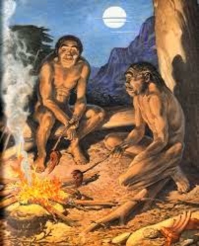 DESCUBRIMIENTO DEL FUEGO