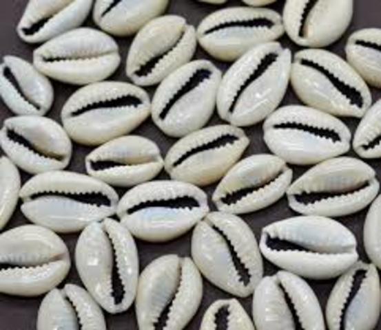 Cowrie Shells and Early Money
