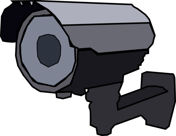 Camara de Seguriad GVS