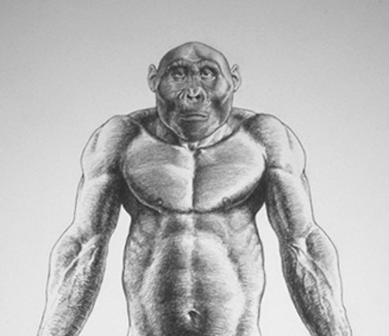 Le strategie per sopravvivere ai cambiamenti dell'ambiente