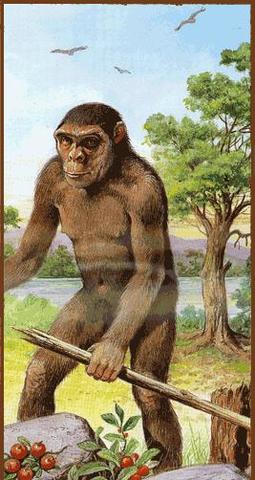 AUSTRALOPITECI