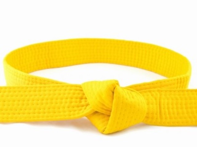 My yellow belt