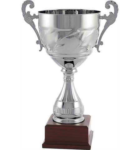 Recibe una distinción empresarial