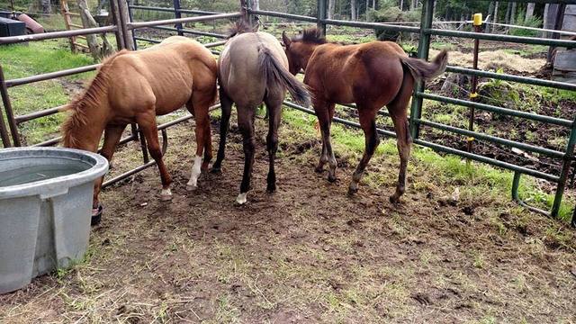 Tye's First Day Home!