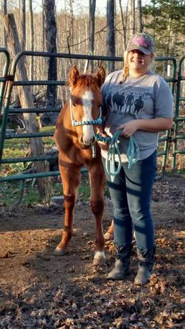 Tye's First TIme with a Halter!