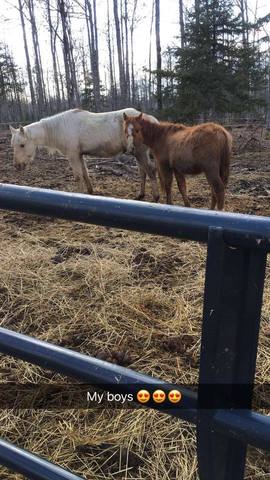 Tye and his big "brother" Dallas