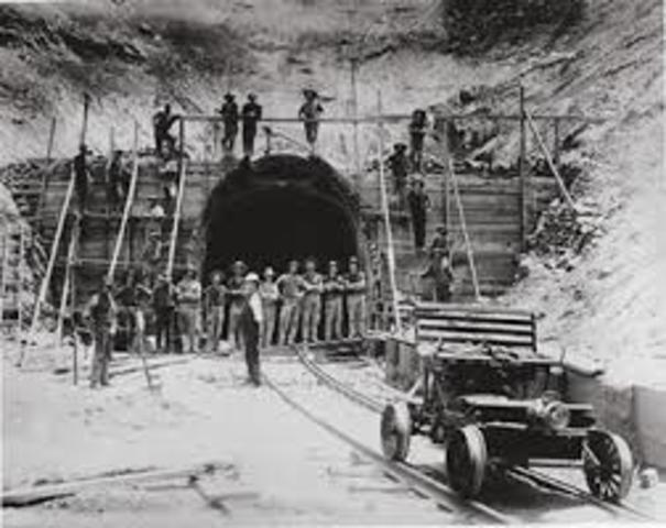 REVOLUCIÓN DEL CARBON